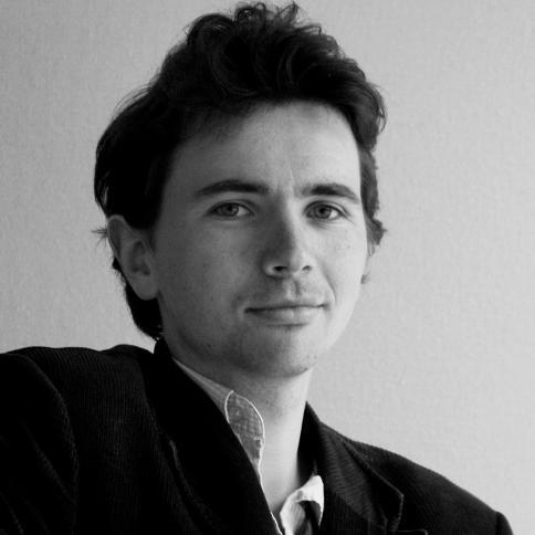 labeille-qui-cache-la-foret