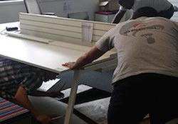 debut-dannee-en-fanfare