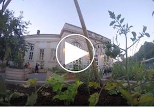 creation-dun-potager-de-300m2-a-paris