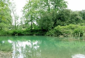 gsf-energia-en-action