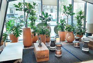 les-jardins-de-gally-une-oasis-verte-en-plein-coeur-de-la-ville