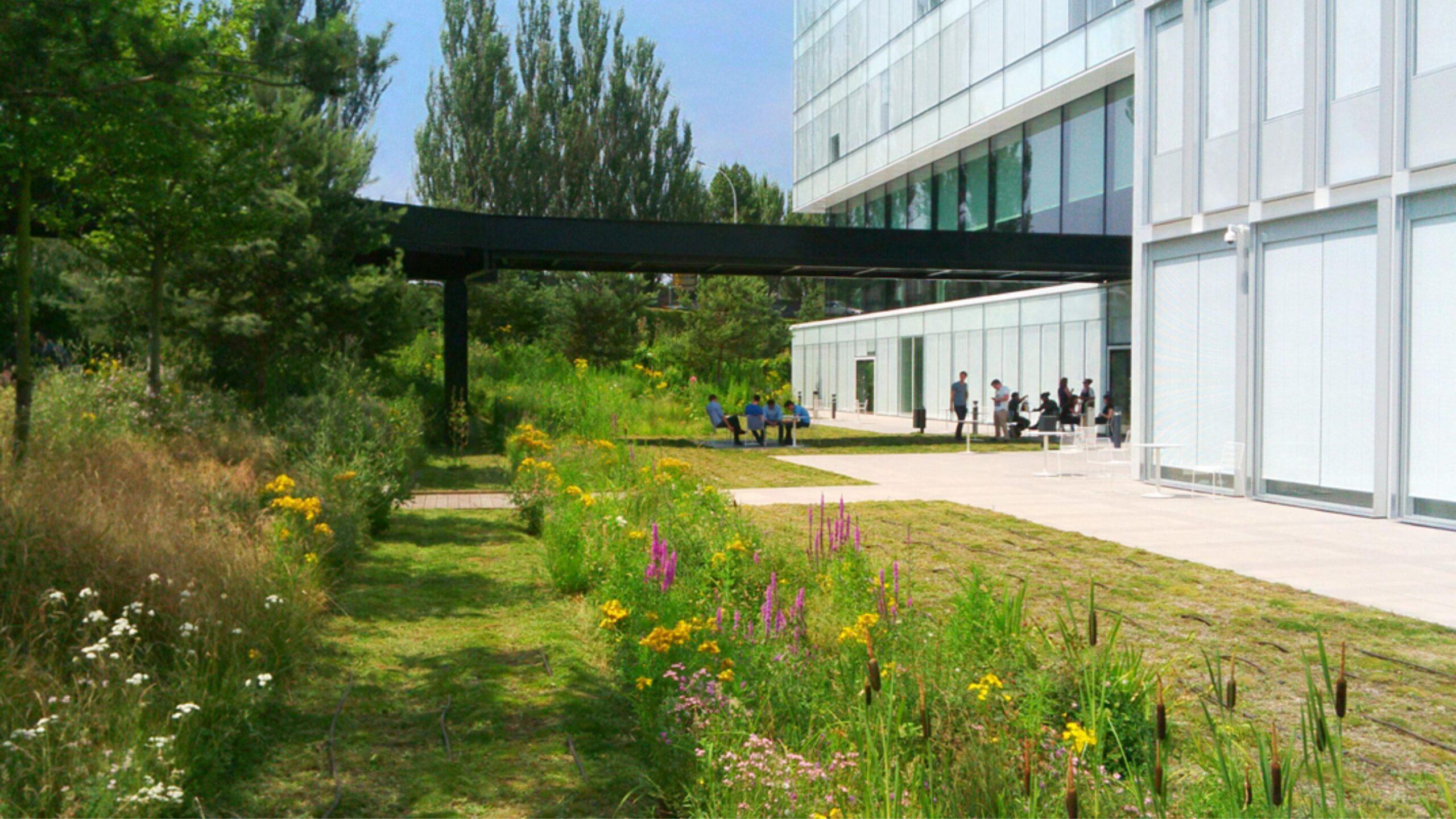 Bâtiment et biodiversité : comment habiter la nature ?