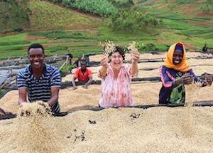 cafe-caron-au-plus-pres-des-producteurs