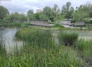 Le numérique au service de la résilience de nos territoires