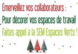 sem-espaces-verts-il-est-encore-temps-de-choisir-votre-sapin-decore-pour-noel