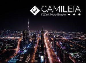 camileia-une-annee-2024-riche-en-projet