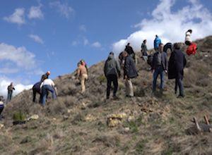 samsic-partenaire-de-caring-for-forests