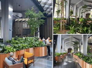 les-jardins-de-gally-creent-un-paysage-dinterieur-pour-bcg