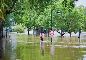 Changement climatique : comment minimiser ses impacts ?
