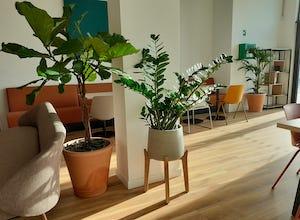 et-si-vos-resolutions-2025-etaient-plus-vertes