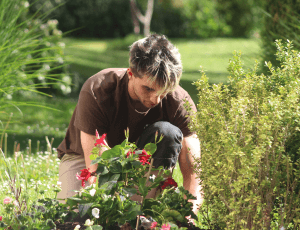 espaces-verts-les-jardins-de-gally-un-entretien-eco-responsable
