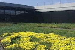 segex-vegetalise-les-toits-de-laeroport-lyon-saint-exupery