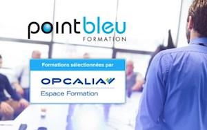 point-bleu-reference-par-lopcalia