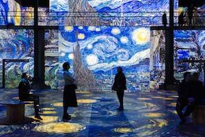 Immersion dans l’image