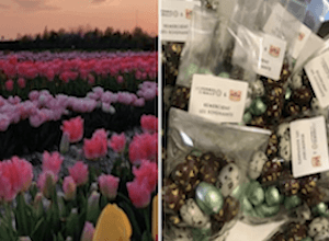 les-jardins-de-gally-solidarite-avec-les-soignants