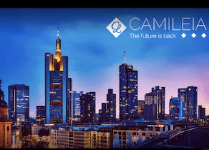 camileia-faire-face-au-mal-du-covid-19