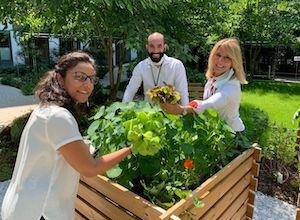 un-potager-au-bureau-avec-les-jardins-de-gally