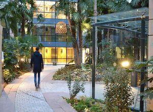 les-jardins-de-gally-focus-sur-colisee-gardens