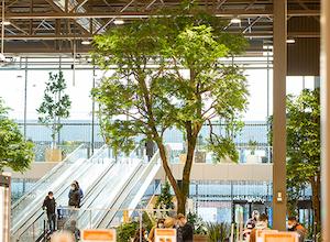 les-jardins-de-gally-vegetalisent-le-centre-e-leclerc-les-oudairies