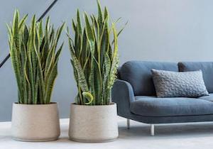 groupe-i2t-operation-reussie-pour-le-transfert-de-mdc-groupe