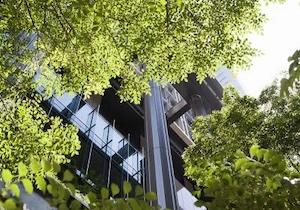 vinci-failities-preserver-la-biodiversite-dans-les-projets-immobilierse