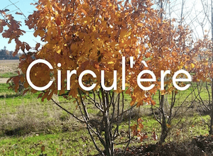 les-jardins-de-gally-engages-dans-leconomie-circulaire