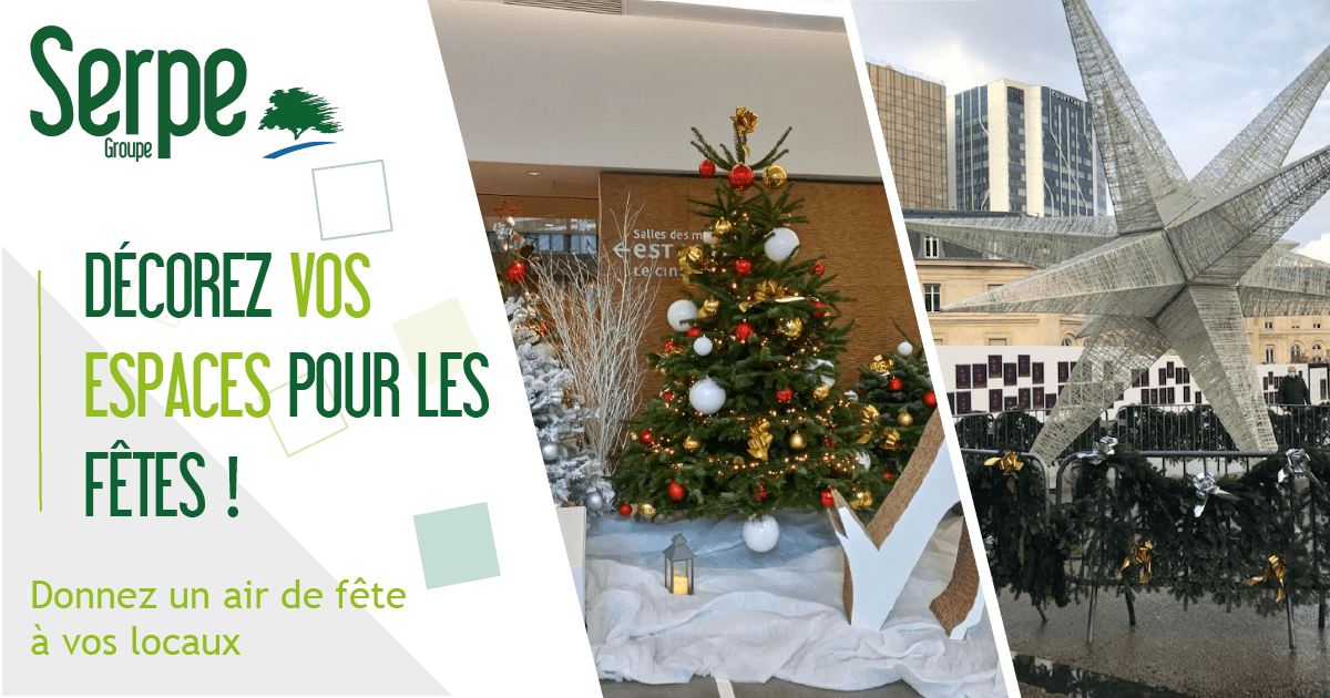 groupe-serpe-preparez-des-maintenant-la-decoration-de-vos-espaces-pour-noel