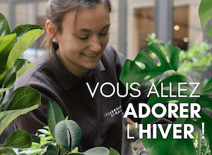 avec-les-jardins-de-gally-vous-allez-adorer-lhiver