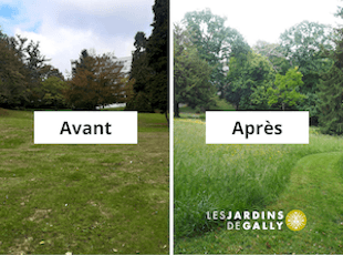 espaces-verts-les-jardins-de-gally-engages-pour-la-biodiversite