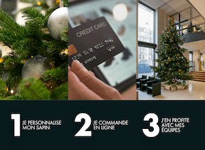les-jardins-de-gally-votre-sapin-de-noel-en-ligne