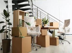 L’activité tient bon malgré la conjoncture