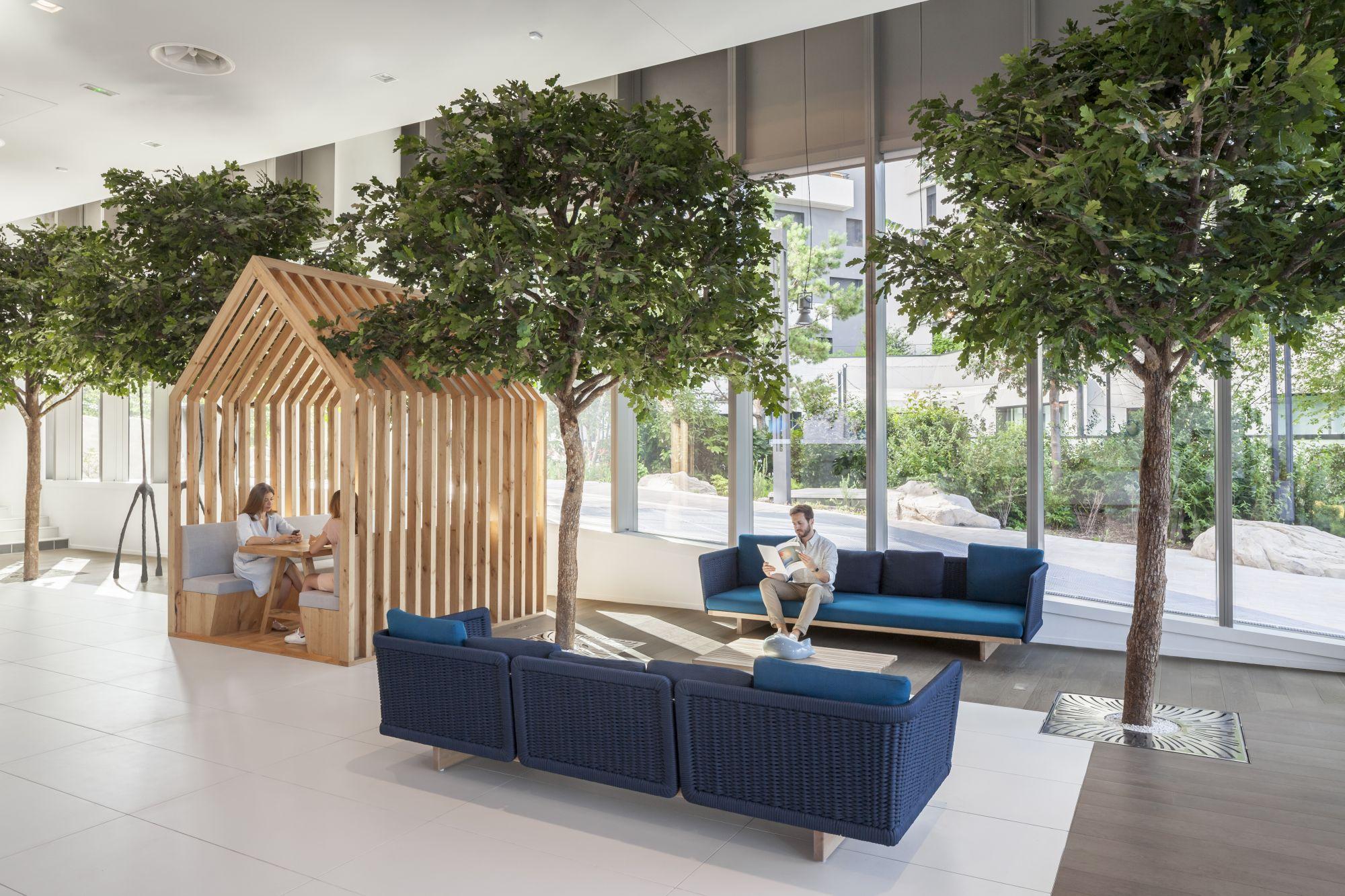 Arbres d'intérieur, Collection Sylver®