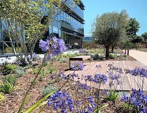 mettre-le-vegetal-au-service-de-votre-politique-rse
