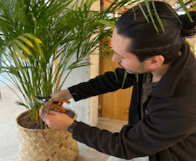 entretenez-vos-plantes-meme-en-hiver