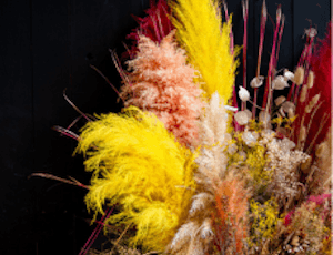 le-charme-des-fleurs-sechees-avec-maniere-descamps